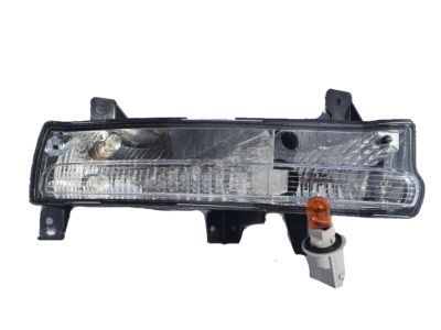 Jeep 55112720AA LAMP Park and Turn Signal