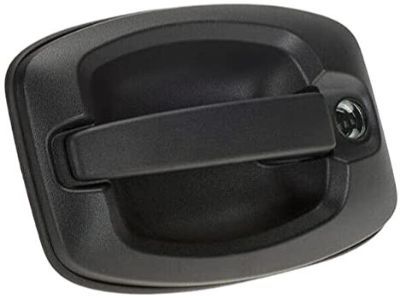 Ram ProMaster 3500 Door Handle - 5RK15JXWAB