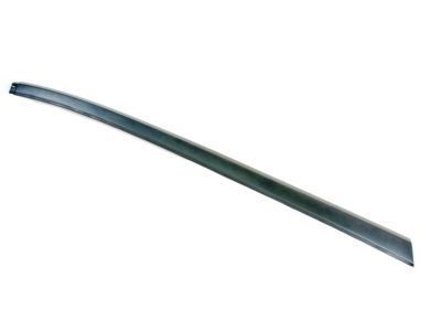 Dodge 1AV11RXFAD Applique