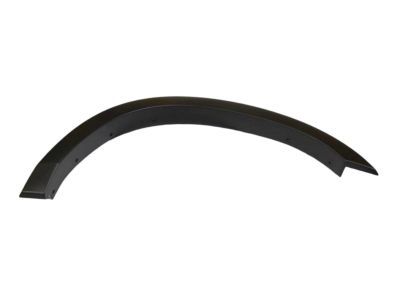 Ram 6MS45TZZAB MOLDING Wheel Opening Flare Front