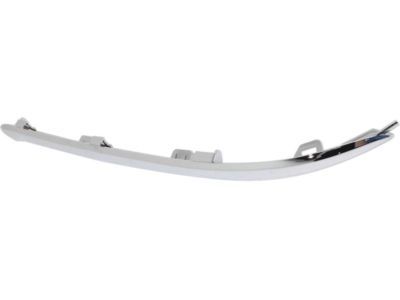 Dodge 5113730AB Trim Molding