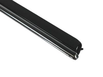 2007 Dodge Magnum Door Moldings - WG20AXRAC