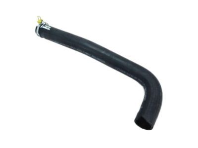 Dodge 52028872AD HOSE Radiator
