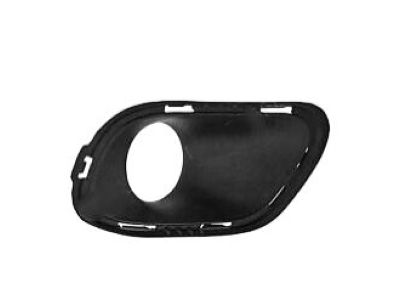 Jeep 68203224AA Lamp Cover