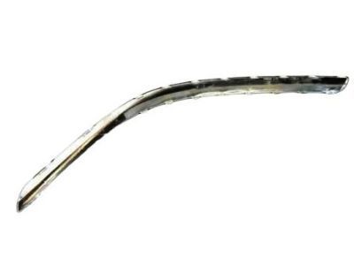 Dodge 5104525AA Side Molding