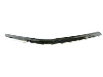 Dodge 5104525AA Side Molding