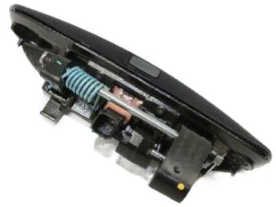 Dodge 1MZ85KBXAG HANDLE Front Door Exterior