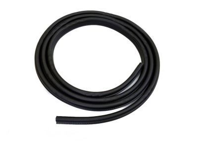 Dodge 55346790AJ WEATHERSTRIP Front Door Secondary
