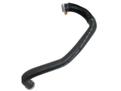 Mopar 4596874AD Hose And Clamp Radiator Outlet