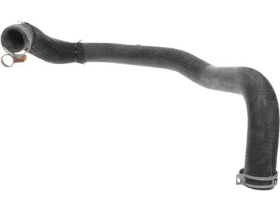 Mopar 4596874AD Hose And Clamp Radiator Outlet