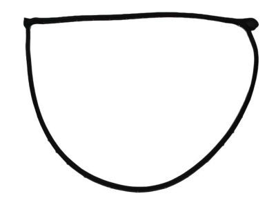 Dodge 5008843AC WEATHERSTRIP Front Door Mounted
