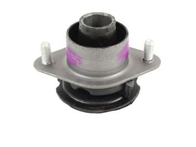 Ram 55398277AC Cushion