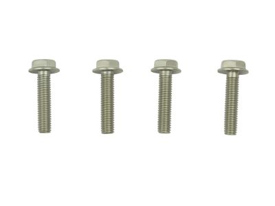 Mopar 68109936AA Bolt Hexagon Flange Head