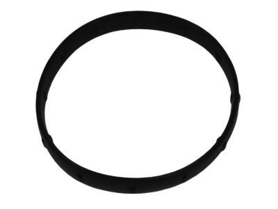 Mopar 4892378AA Adapter Gasket