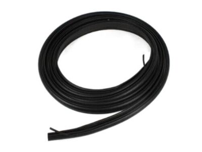Dodge 5054274AD WEATHERSTRIP Liftgate Opening