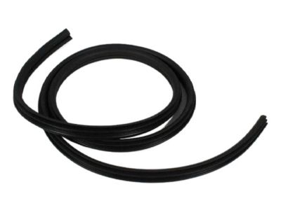 Chrysler PT Cruiser Door Seal - XW42XXXAB