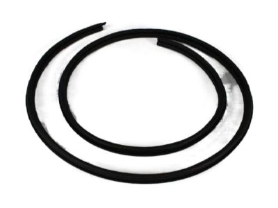 Chrysler PT Cruiser Door Seal - XW42XXXAB