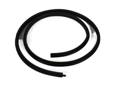 Chrysler PT Cruiser Door Seal - XW42XXXAB