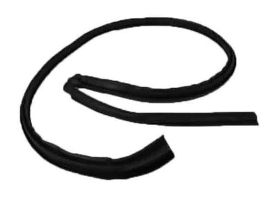 Chrysler Door Seal - 4724784AC