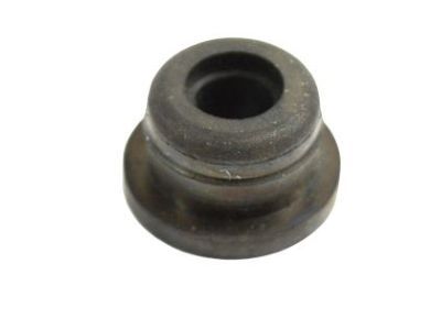 Jeep 68225074AA Washer Pump Grommet