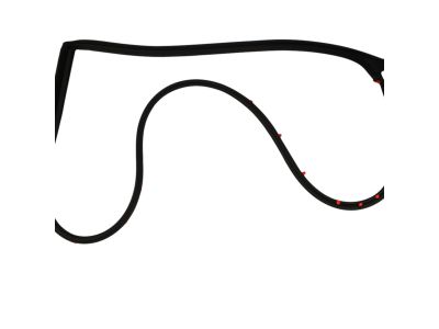 Mopar 68039977AG Weatherstrip Rear Door Mounted