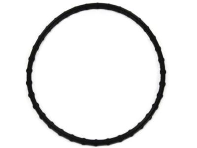 Chrysler Water Pump Gasket - 4659430AB
