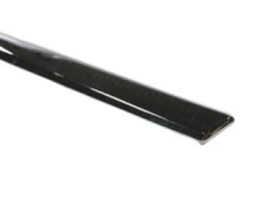 Chrysler Town & Country Door Moldings - ZT55SZ0AA