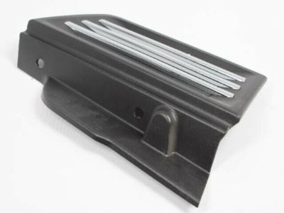 Dodge 55157164AE Applique