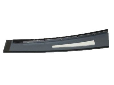 Chrysler 4894437AD APPLIQUE B Pillar Front Door