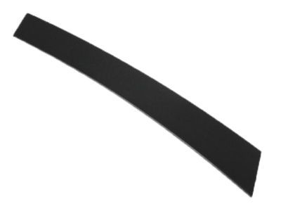 Chrysler 4894437AD APPLIQUE B Pillar Front Door