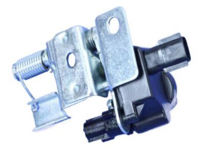 Jeep Tailgate Lock - 55396445AA