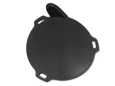 Chrysler 5303889AB Lamp Cover