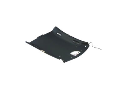 Mopar 6RG15DX9AB Headliner 6RG15DX9AB Mopar Headliner Product Photo 1 of 3