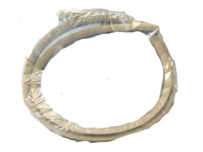 Chrysler Concorde Door Seal - TE72RK5AE