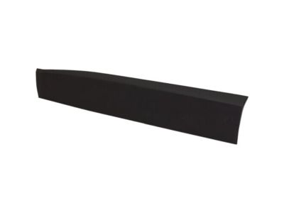 Jeep 5VX83LXHAA MOLDING Front Door