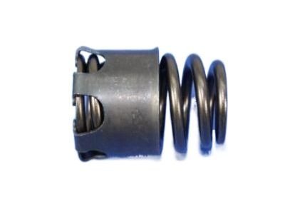 Jeep 5037477AD Valve Springs