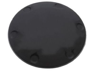 Jeep 68232015AA Plug