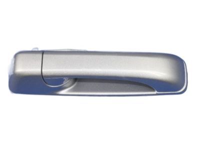 Ram 1GH18WS2AD HANDLE Exterior Door