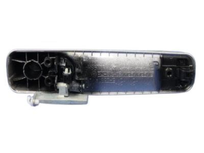Ram 1GH18WS2AD HANDLE Exterior Door