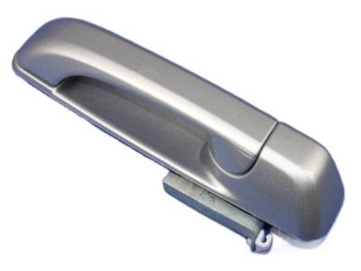 Ram 1GH18WS2AD HANDLE Exterior Door