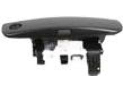 Mopar 1MZ85RXFAJ Handle Front Door Exterior, Outer Driver Side