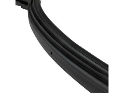 Jeep 55395275AS WEATHERSEAL DOOR TO BODY FRONT full DOOR