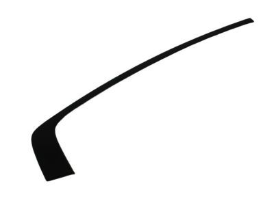 Dodge 57010506AJ MOLDING Day Light Opening Rear Door