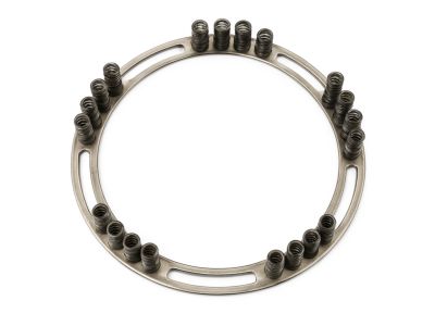 Mopar 68193014AA Spring Low/Reverse Brake, Return