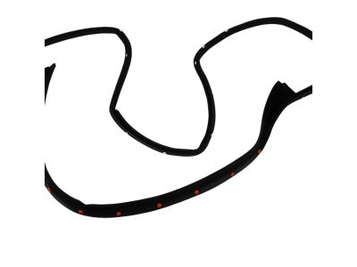 Mopar 55399185AB Weatherstrip Front Door Opening