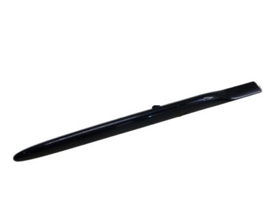 Chrysler RV18DX8AA MOLDING Rear Door