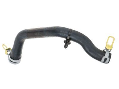 Dodge 68057473AE Hoses