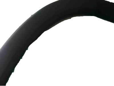 Ram 5LP22LAHAA MOLDING Door Outside