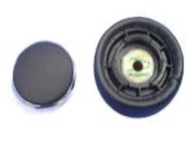 Dodge Shift Knob - 1RV43DX9AC