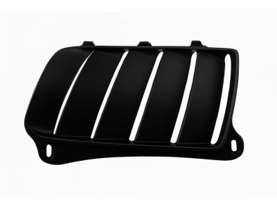 Mopar 68260186AA Bezel Hood